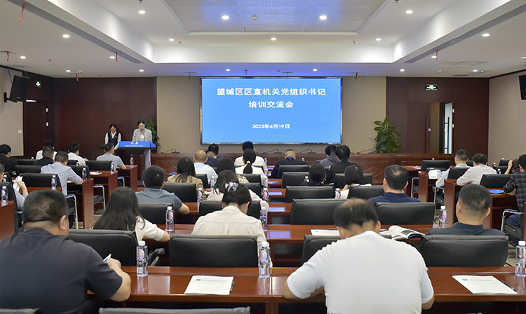 公司職能黨支部書(shū)記、黨群綜合部副部長(zhǎng)（主持黨建工作）周葵主持會(huì)議.jpg